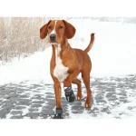 Botas Trixie 19463 Negro M