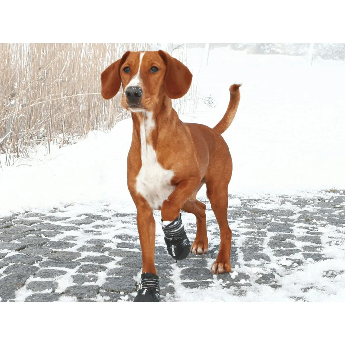 Botas Trixie 19464 Negro (M - L)