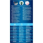 Cepillo de Dientes Eléctrico Braun Negro