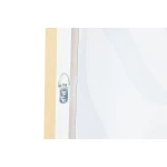 Lienzo Home ESPRIT Verde Rosa Flores Moderno (2 Unidades)