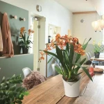 Maceta Lechuza Blanco