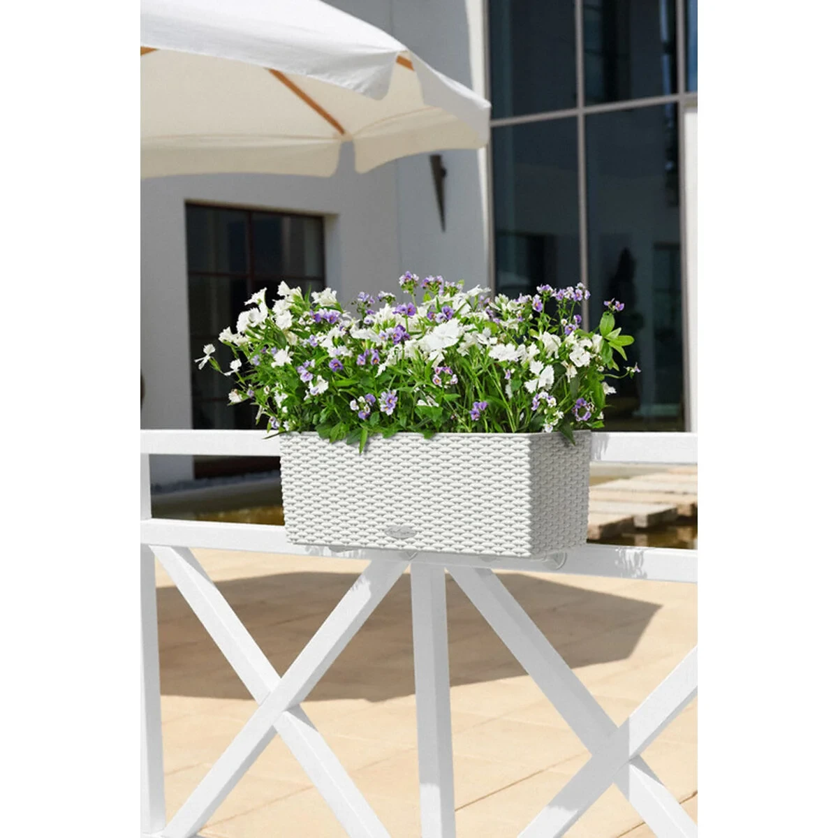 Maceta Lechuza Blanco Negro Polipropileno