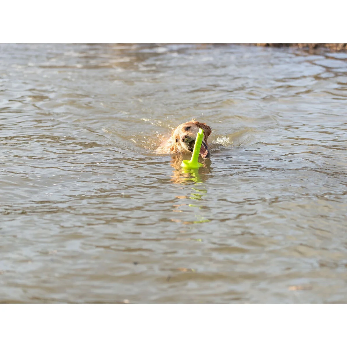 Mordedor de perro Trixie 29 cm