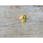 Mordedor de perro Trixie 29 cm