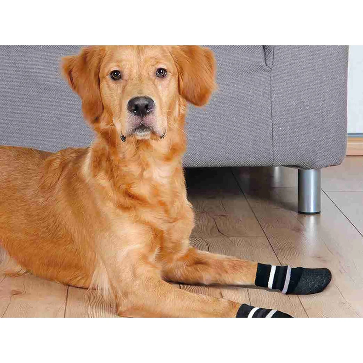 Calcetines Trixie Negro XS/S Perro