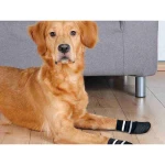 Calcetines Trixie Negro XS/S Perro
