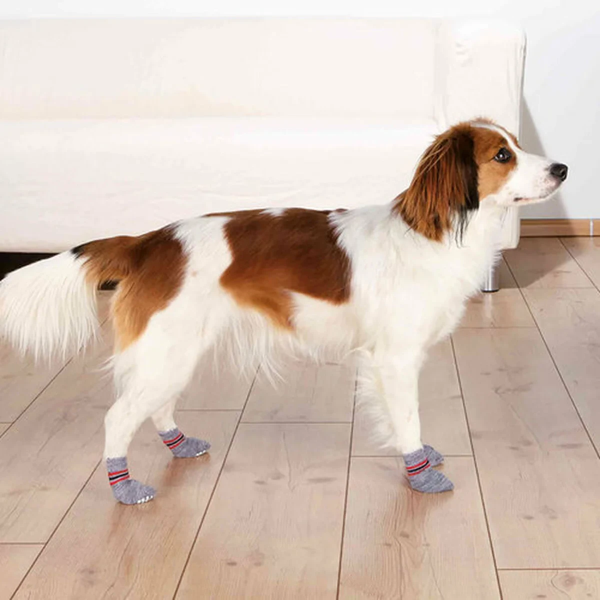 Calcetines Trixie Gris L/XL Perro