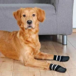 Calcetines Trixie Negro XL Perro