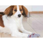 Calcetines Trixie Gris M/L Perro