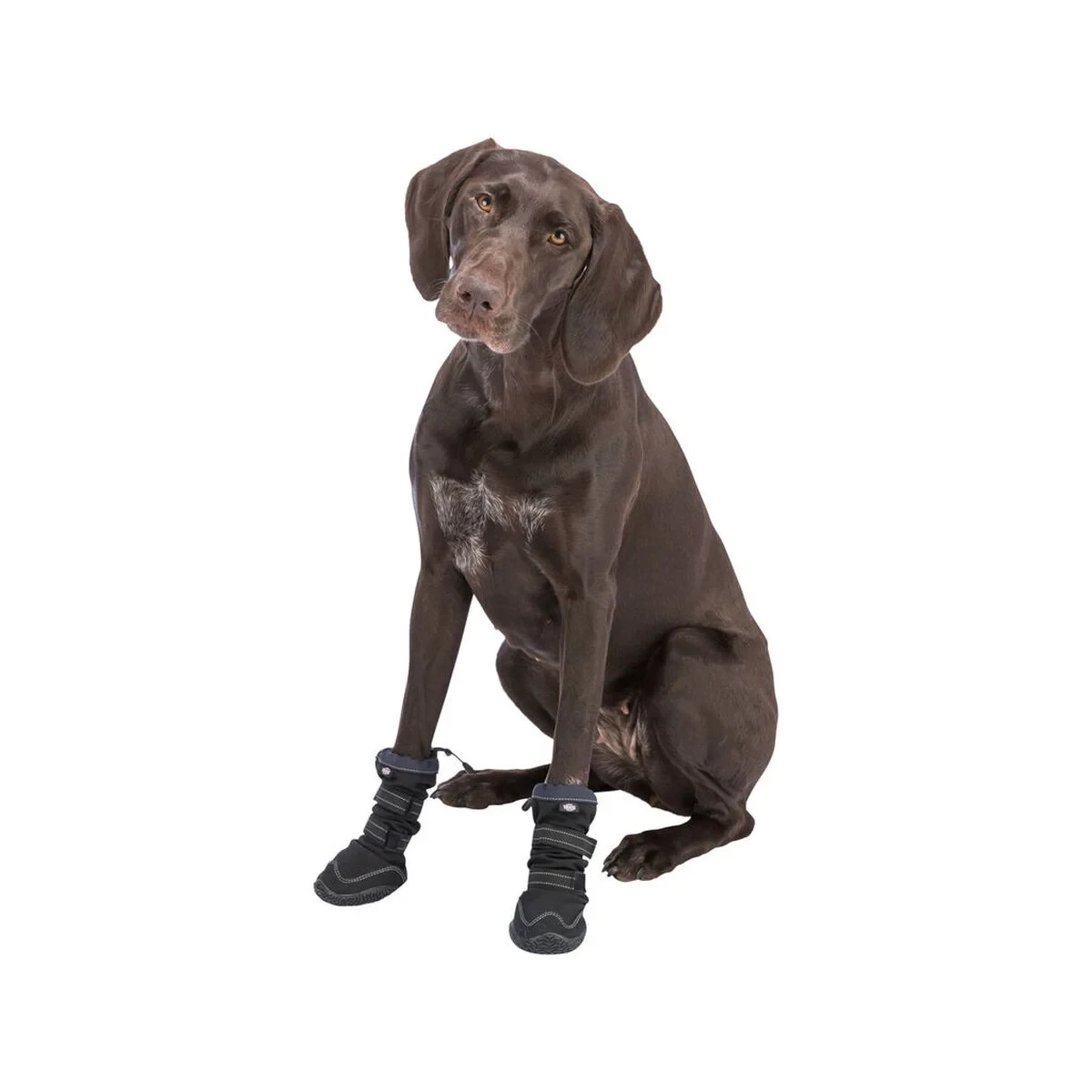 Andador de protección de patas Trixie Negro XS/S