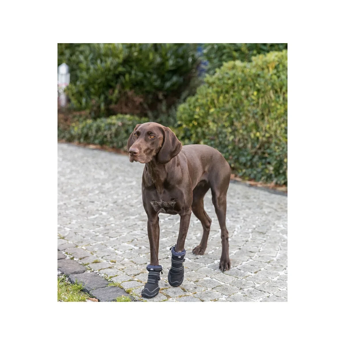 Andador de protección de patas Trixie Negro S/M