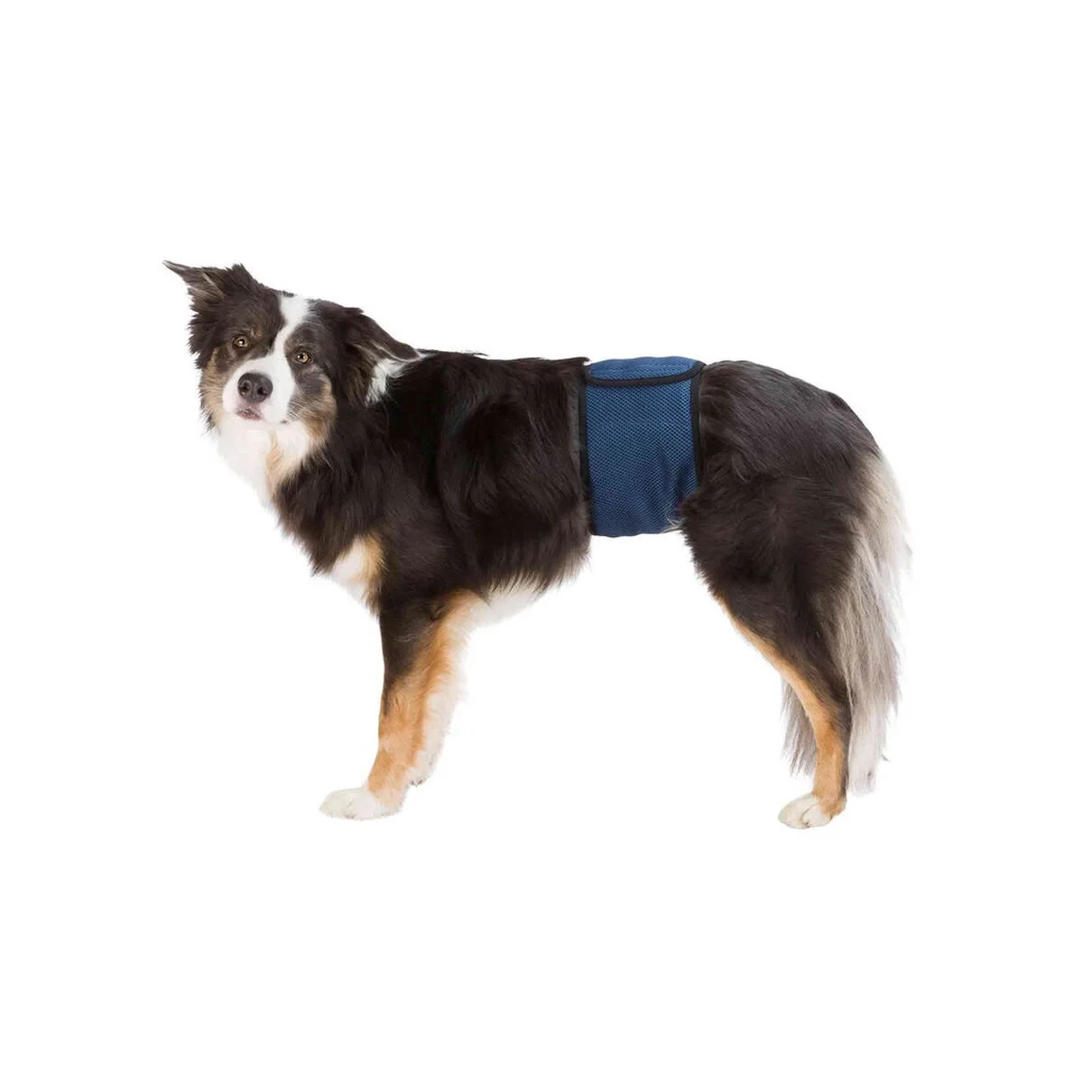 Protector para Incontinencia Trixie 45-55 cm Macho Abdomen
