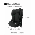Silla para el Coche Nania Negro ECE R129/04