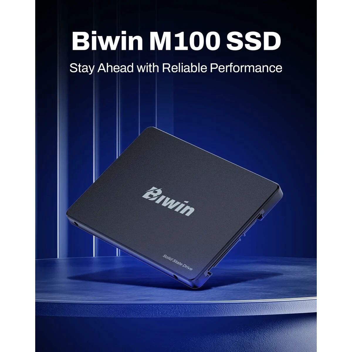 Disco Duro Biwin M100 1 TB SSD