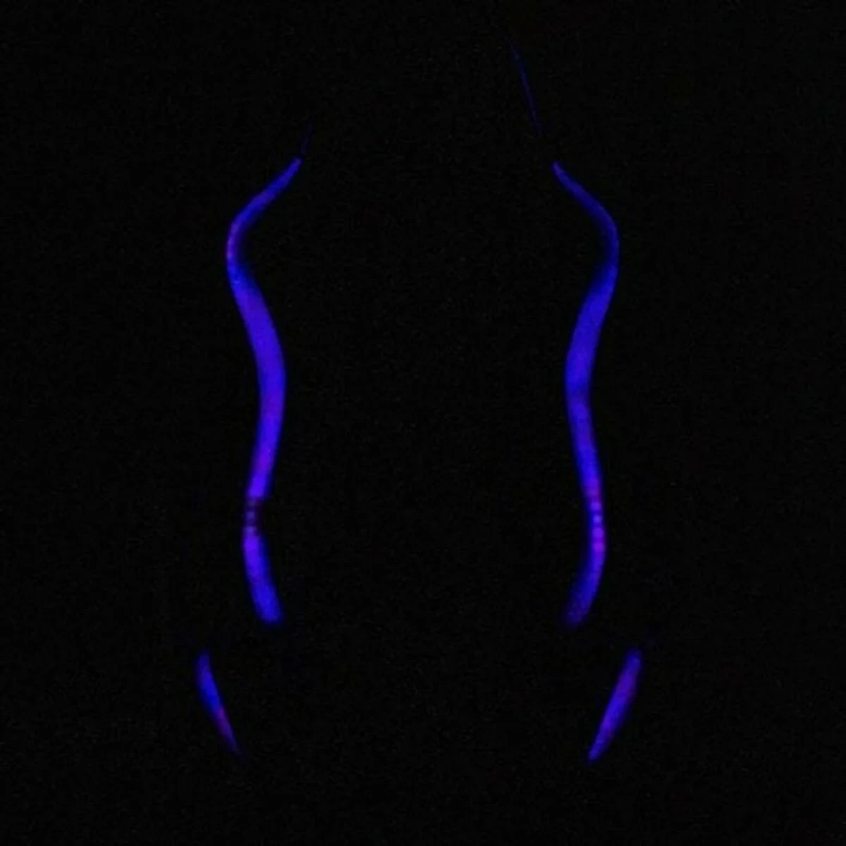 Silla Gaming Woxter GM26-068 Negro RGB