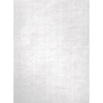 Papel Apli Blanco A4 100 Hojas (12 Unidades)