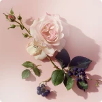 Perfume Mujer Elie Saab 57962