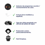 Arrocera JATA JEAR2528 1000 W