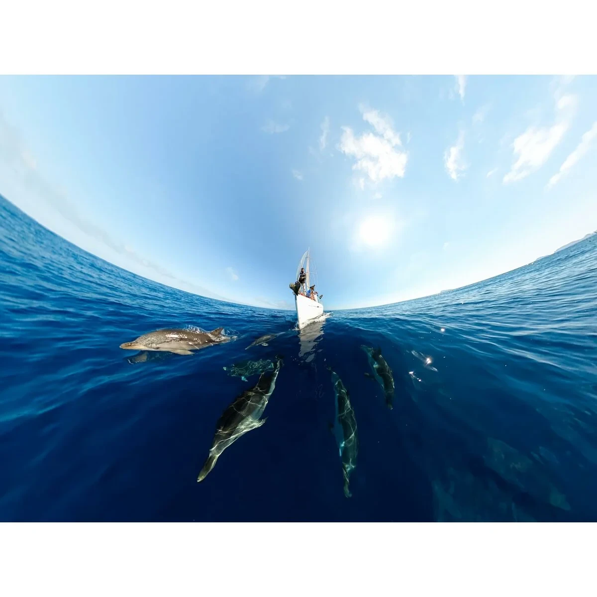 Cámara Digital GoPro CHDHZ-203-RW Negro