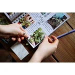 Papel Fotográfico Brillante Canon 6135C003