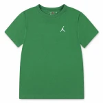 Camiseta de Manga Corta Hombre Jordan Jumpman Air Emb Verde