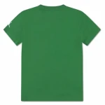 Camiseta de Manga Corta Infantil Jordan Jdb Jm 23 Mesh Ss Verde