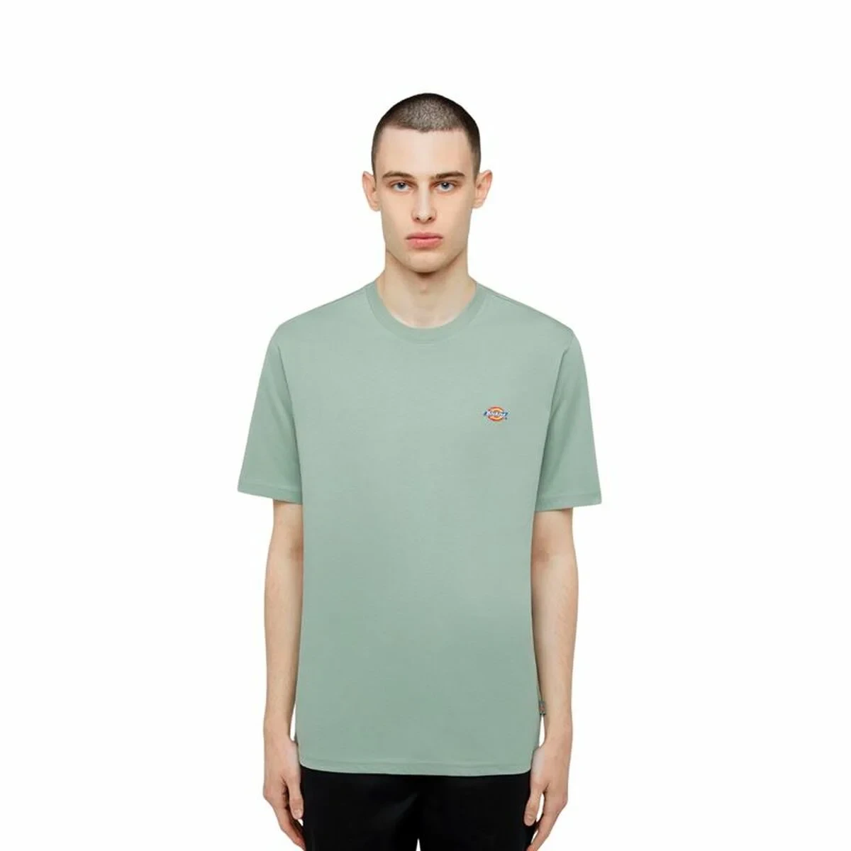Camiseta de Manga Corta Hombre Dickies Ss Mapleton Tee Verde