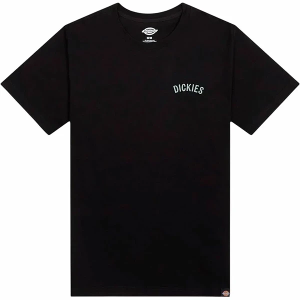 Camiseta de Manga Corta Hombre Dickies Dickies Snake Ss Tee Negro