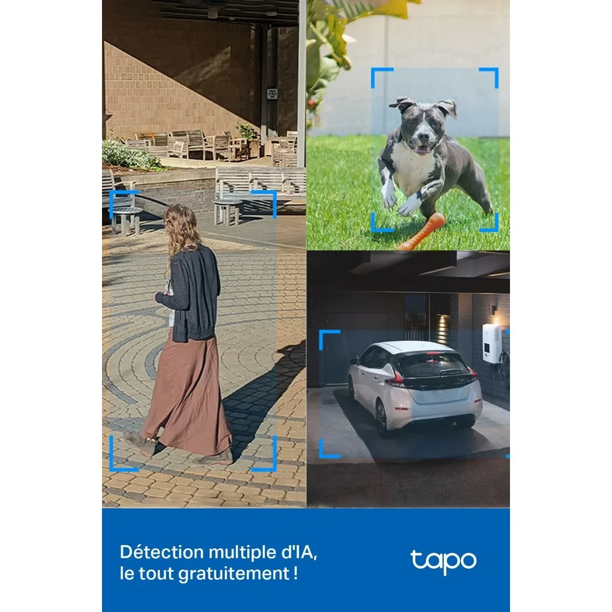 Videocámara de Vigilancia TP-Link TAPO C520WS