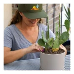 Pegatinas Cricut 2009241