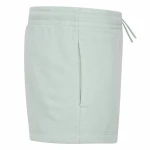 Pantalones Cortos Deportivos para Niños Jordan Jdg Brooklyn Ess Ft