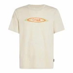 Camiseta de Manga Corta Hombre O'Neill O'Riginals Hybrid Polygiene Graphic Beige