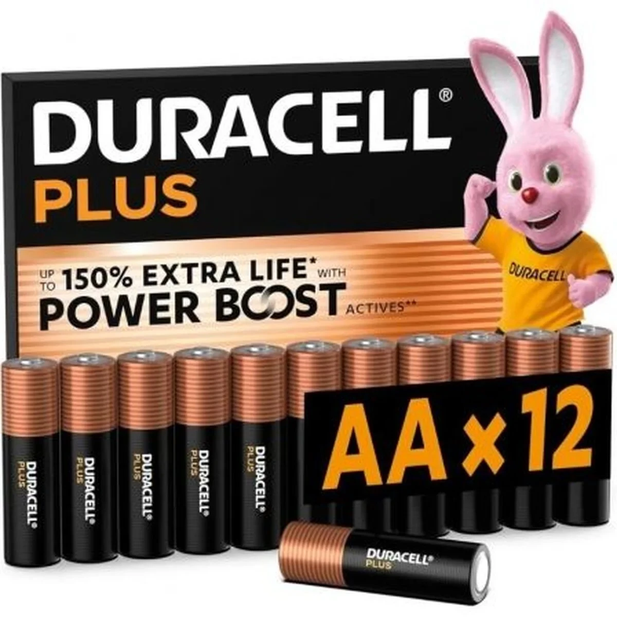 Pilas Recargables DURACELL DPBLR6B12 1,5 V