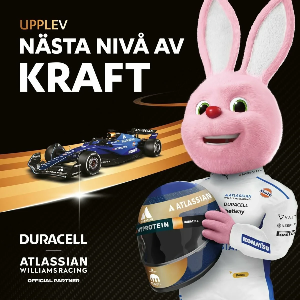 Pilas Recargables DURACELL DPBLR6B12 1,5 V