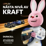 Pilas Recargables DURACELL DPBLR6B12 1,5 V