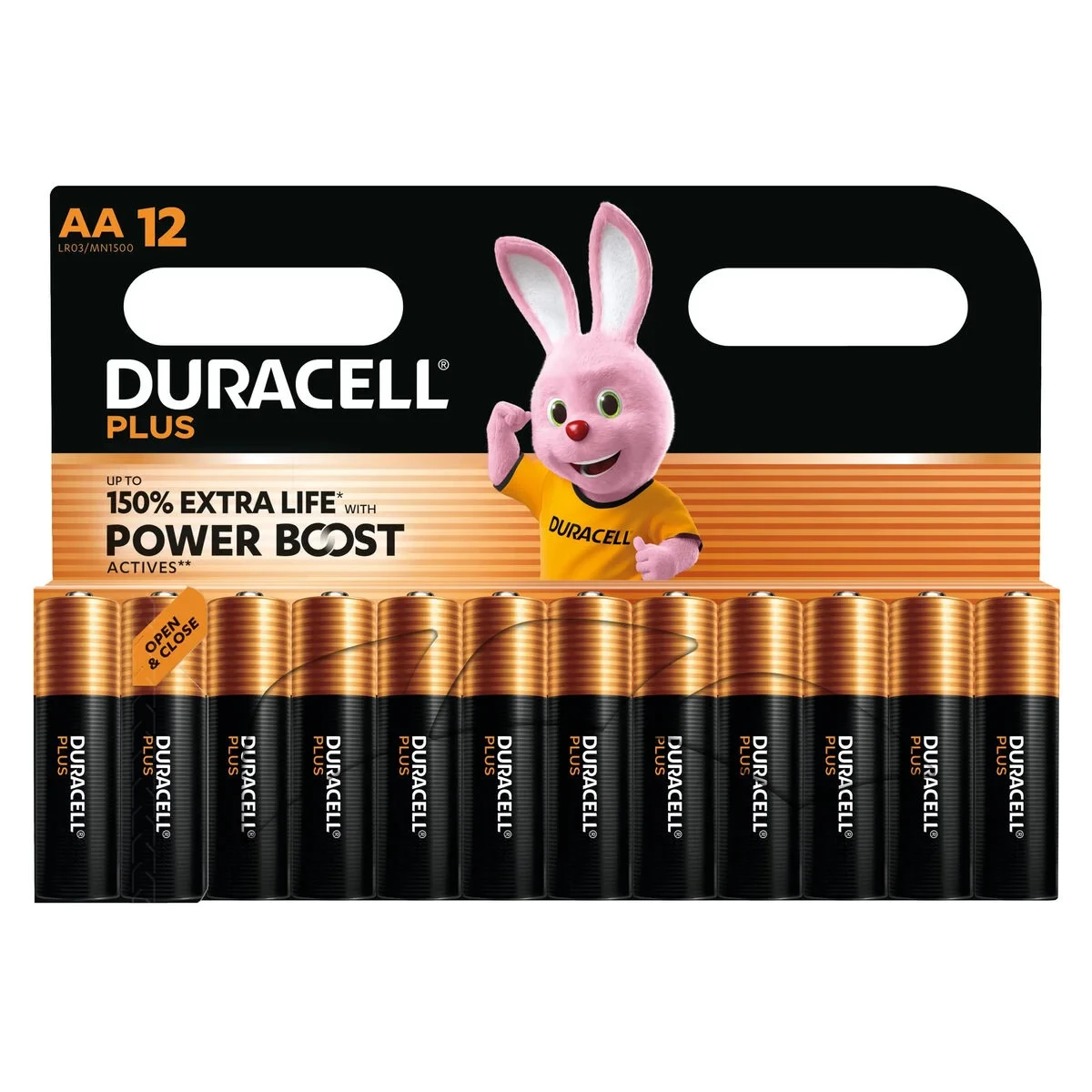 Pilas Recargables DURACELL DPBLR6B12 1,5 V
