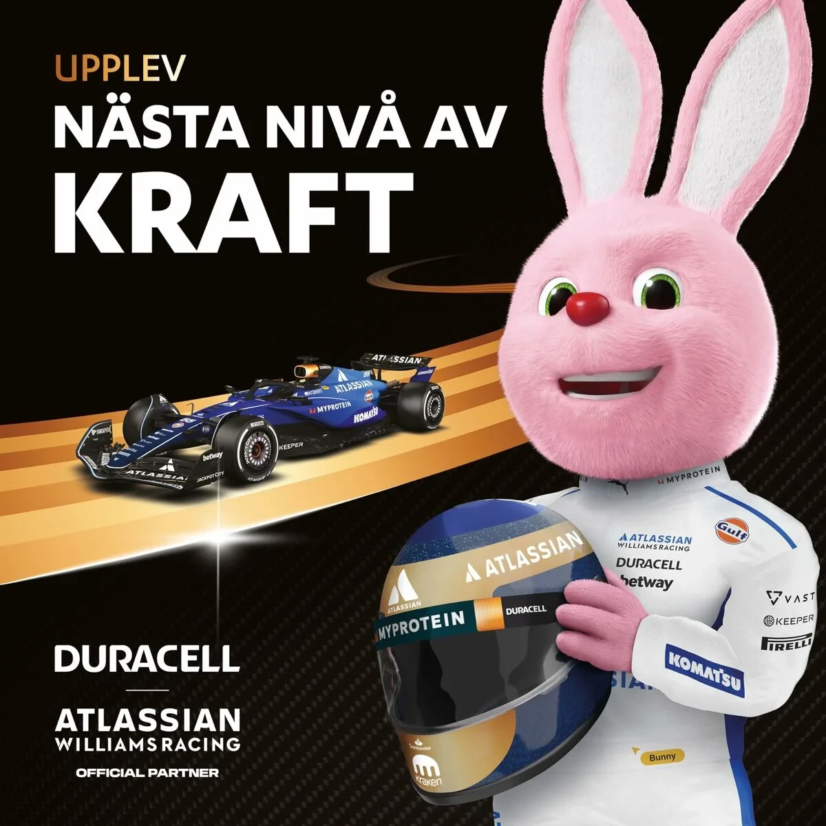 Pilas Recargables DURACELL DPBLR3B12 1,5 V AAA