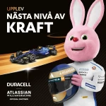 Pilas Recargables DURACELL DPBLR3B12 1,5 V AAA