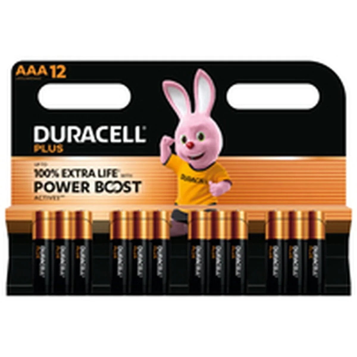 Pilas Recargables DURACELL DPBLR3B12 1,5 V AAA