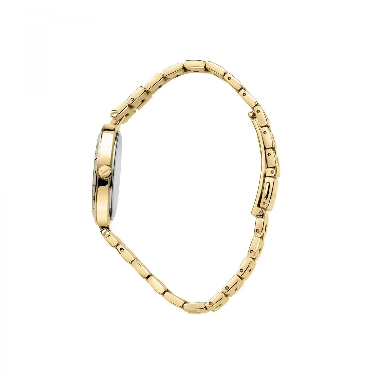 Reloj Mujer Trussardi R2453145503 (Ø 34 mm)