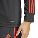 Camiseta de Manga Larga Hombre Adidas Predator 30th (M)