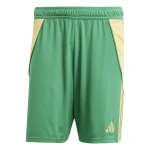 Pantalón de Entrenamiento de Fútbol para Adultos Adidas Tiro24 Hombre