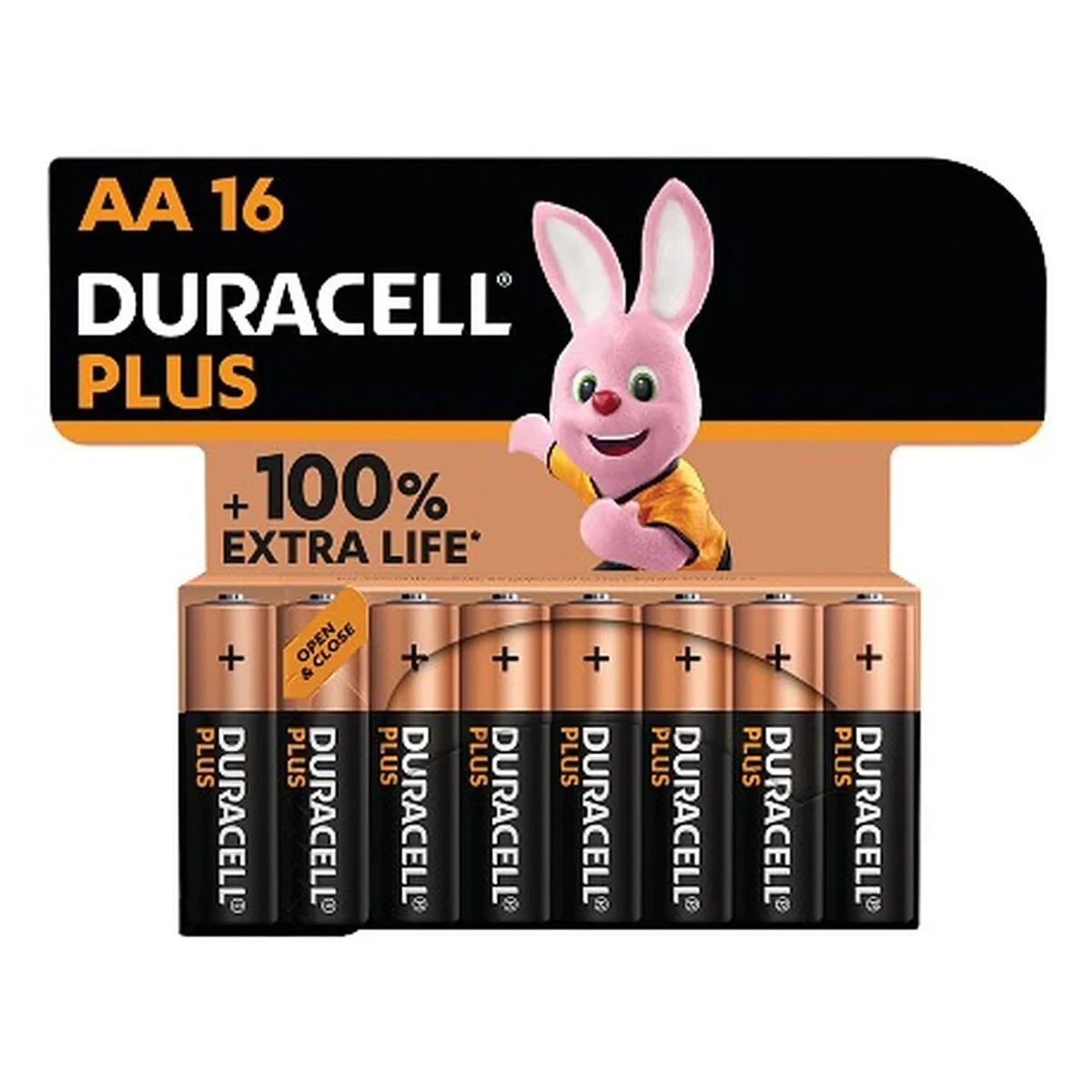 Pilas Recargables DURACELL DPBLR6B16 1,5 V