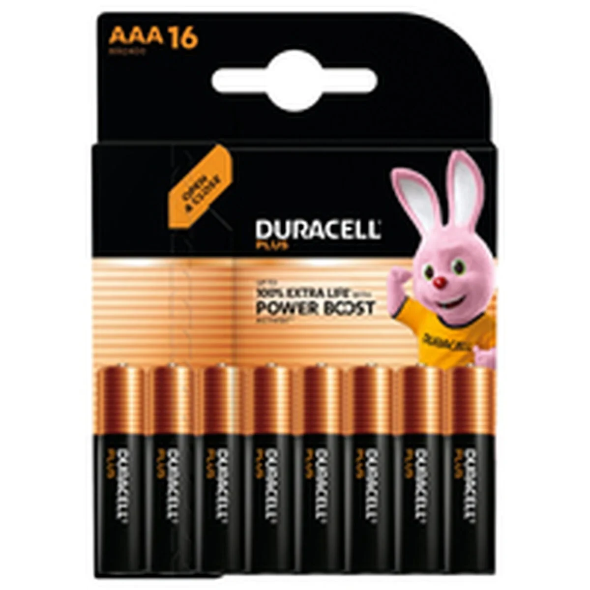 Pilas DURACELL DPBLR3B16 1,5 V AAA
