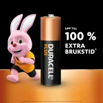 Pilas Recargables DURACELL DPBLR6B8 1,5 V