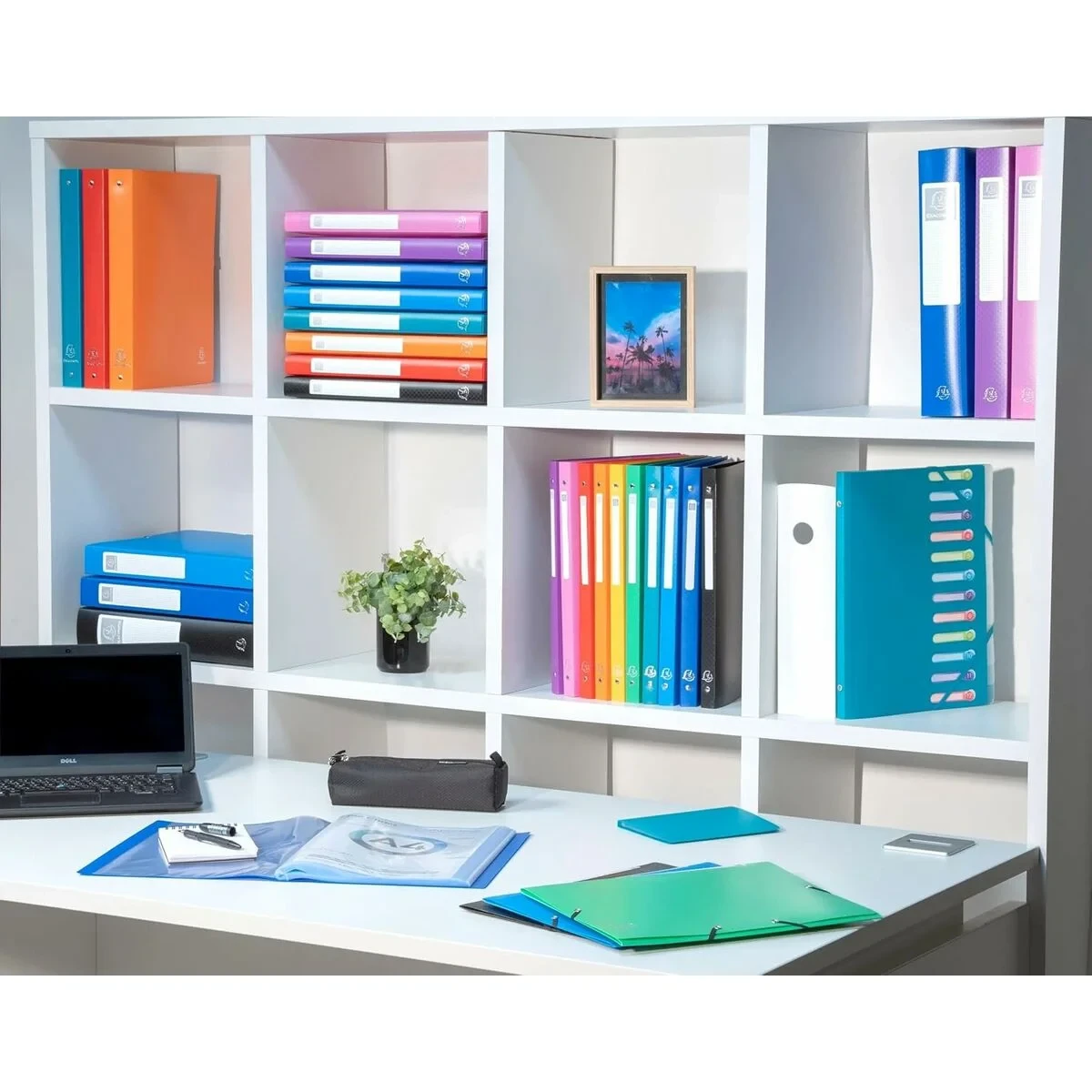 Carpeta de anillas Exacompta Negro A4 (20 Unidades)