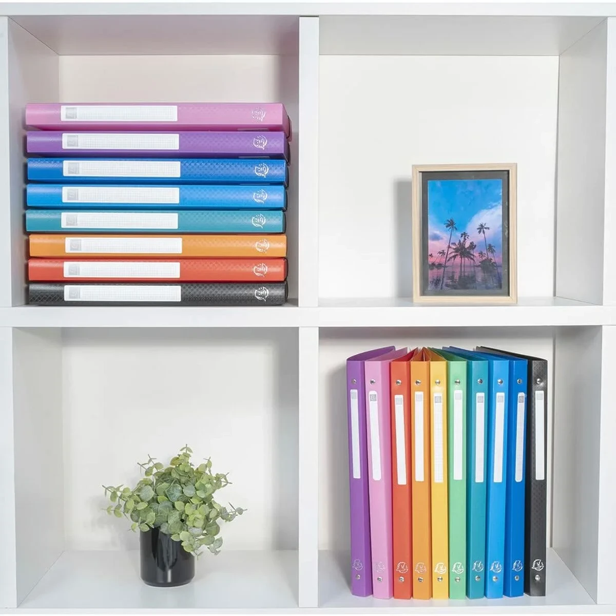 Carpeta de anillas Exacompta Negro A4 (20 Unidades) (4 Unidades)