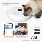 Comedero automático Catit