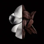 Perfume Mujer Givenchy Gentleman Boisée 200 ml