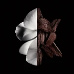 Perfume Mujer Givenchy Gentleman Boisée 200 ml